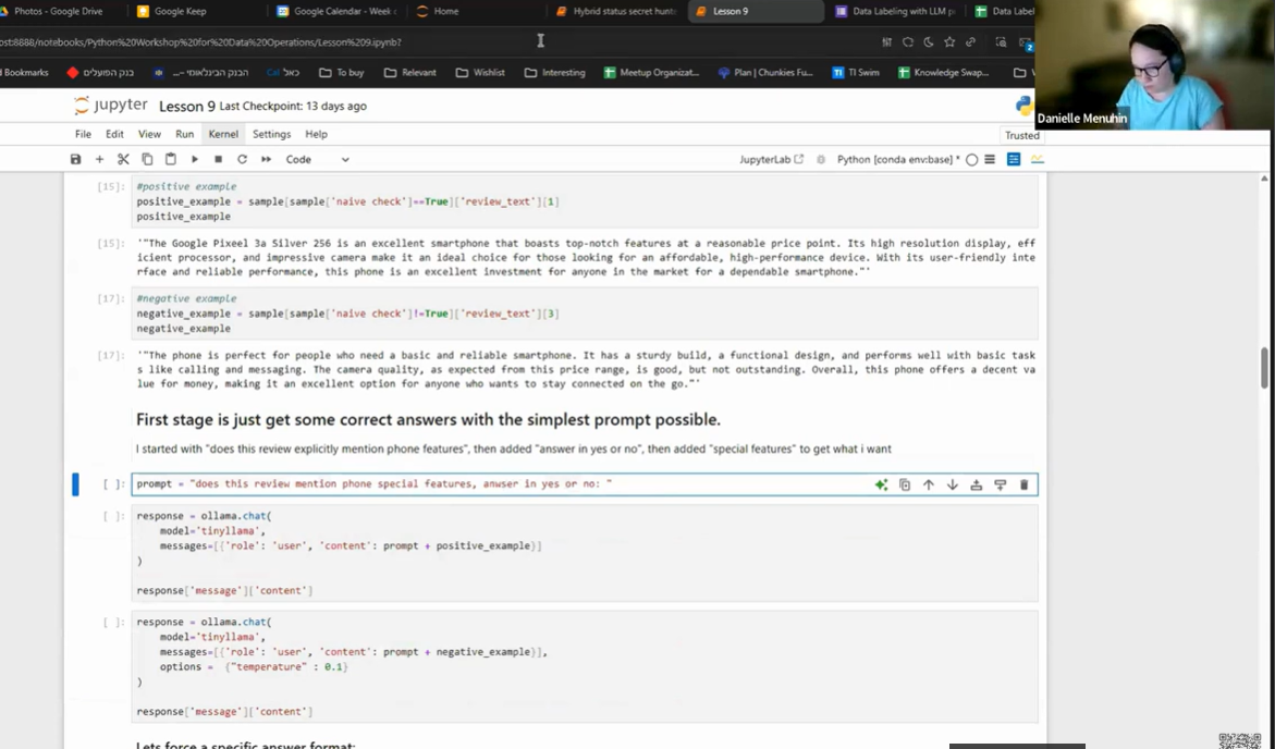 Python Workshop: Data Labeling with LLMs